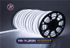 RGB LED Neon Lighting Price in Bangladesh